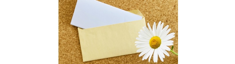 紹介書ってどんな内容？プロフィールと何が違うのか？