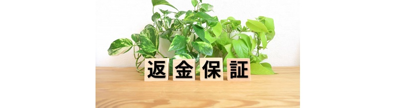 30日間返金保証がある結婚相談所って本当にあるの？